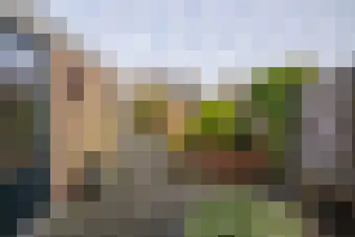 Van Andel-Ripkestraat 51 Franeker thumbnail 38
