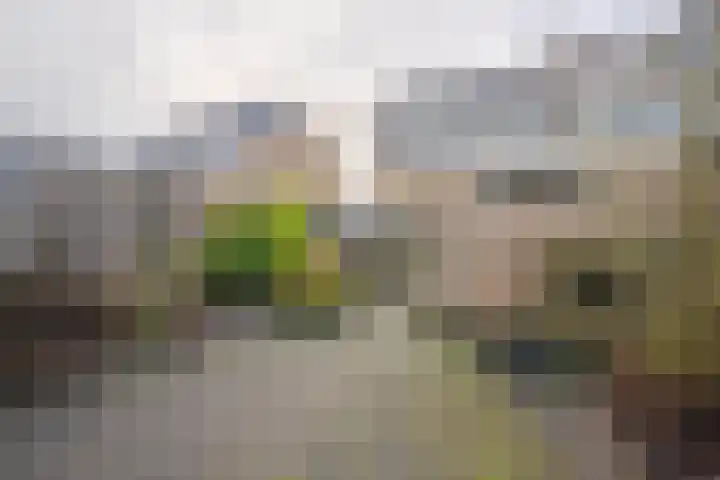Van Andel-Ripkestraat 51 Franeker thumbnail 39