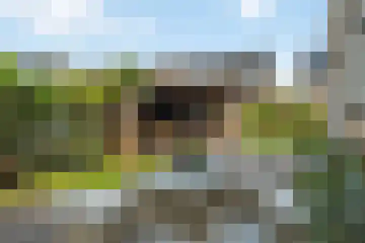 van Andlastate 3 Leeuwarden thumbnail 18