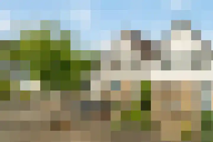 van Andlastate 3 Leeuwarden thumbnail 38