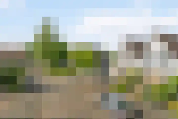 van Andlastate 3 Leeuwarden thumbnail 39