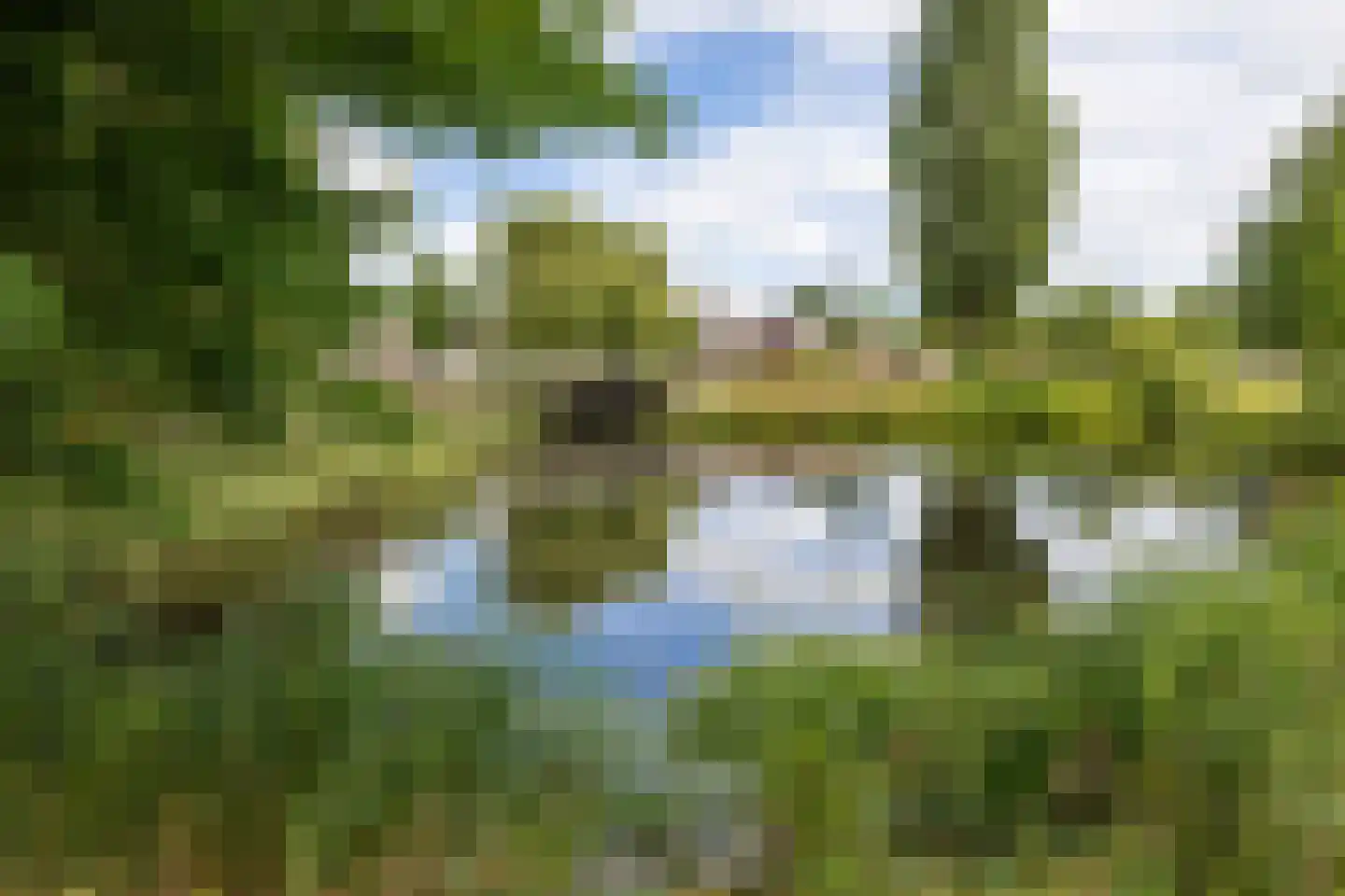 van Andlastate 33 Leeuwarden thumbnail 54