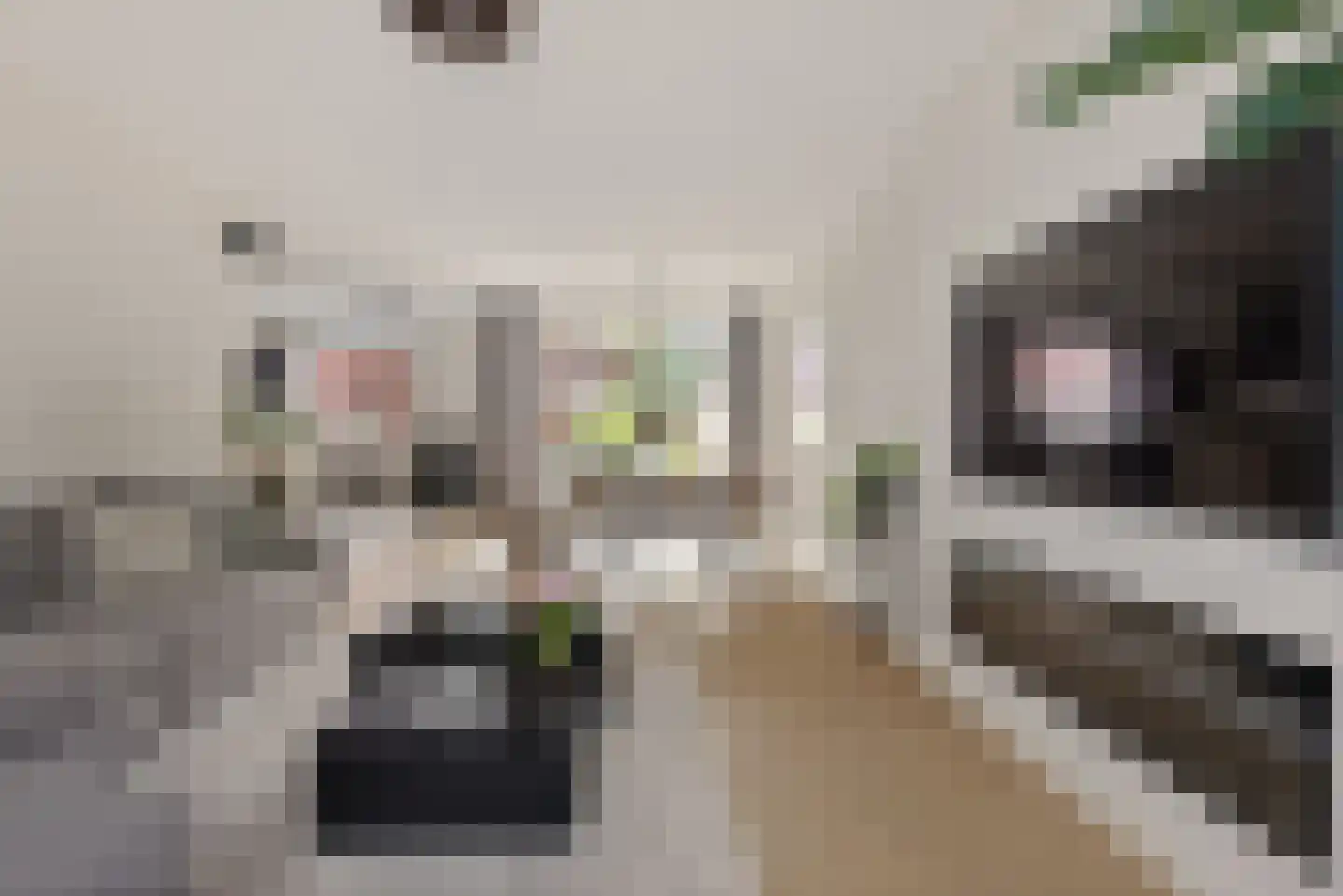 van Angerenstraat 7 Soesterberg thumbnail 18