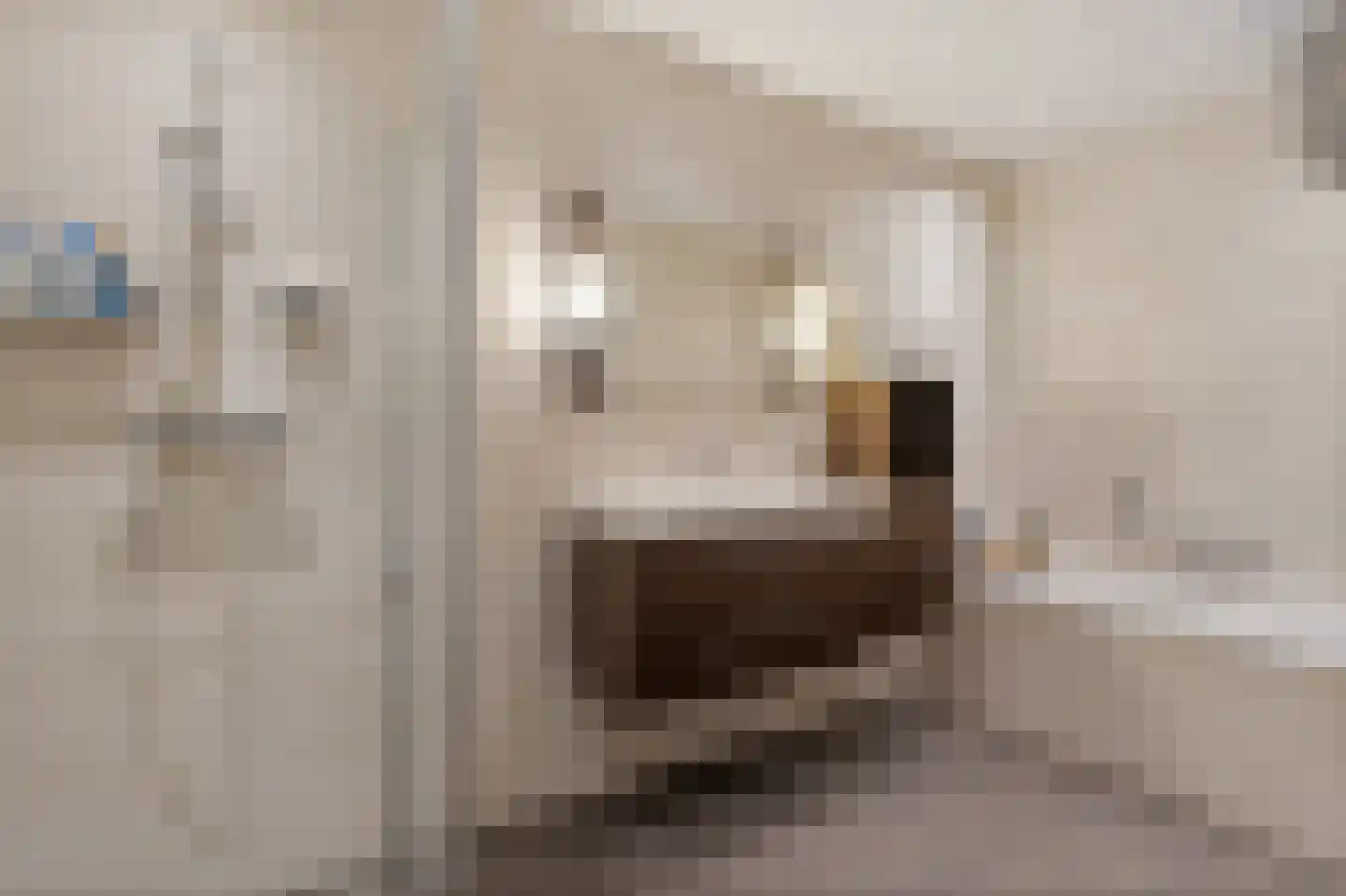 van Angerenstraat 7 Soesterberg thumbnail 40