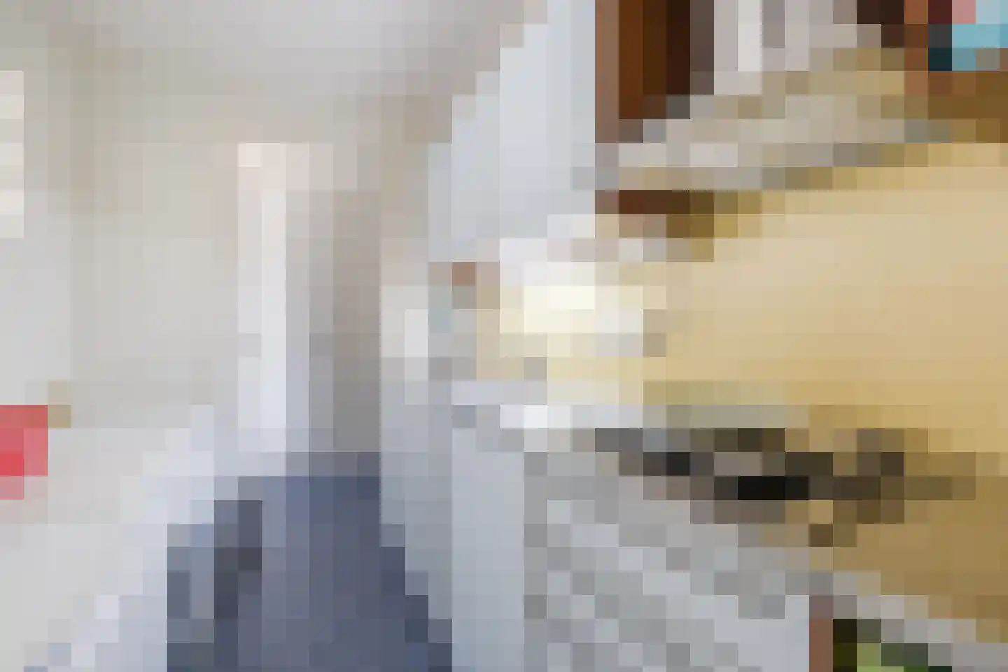 Van Anhalt Dessaustraat 10 Sneek thumbnail 10