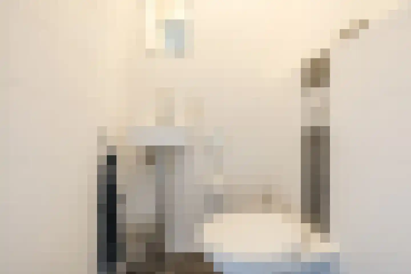 Van Anhalt Dessaustraat 10 Sneek thumbnail 15