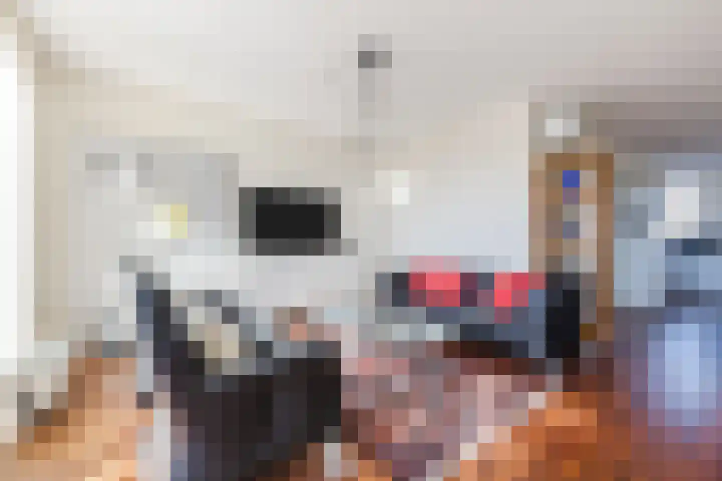 Van Anhalt Dessaustraat 10 Sneek thumbnail 21