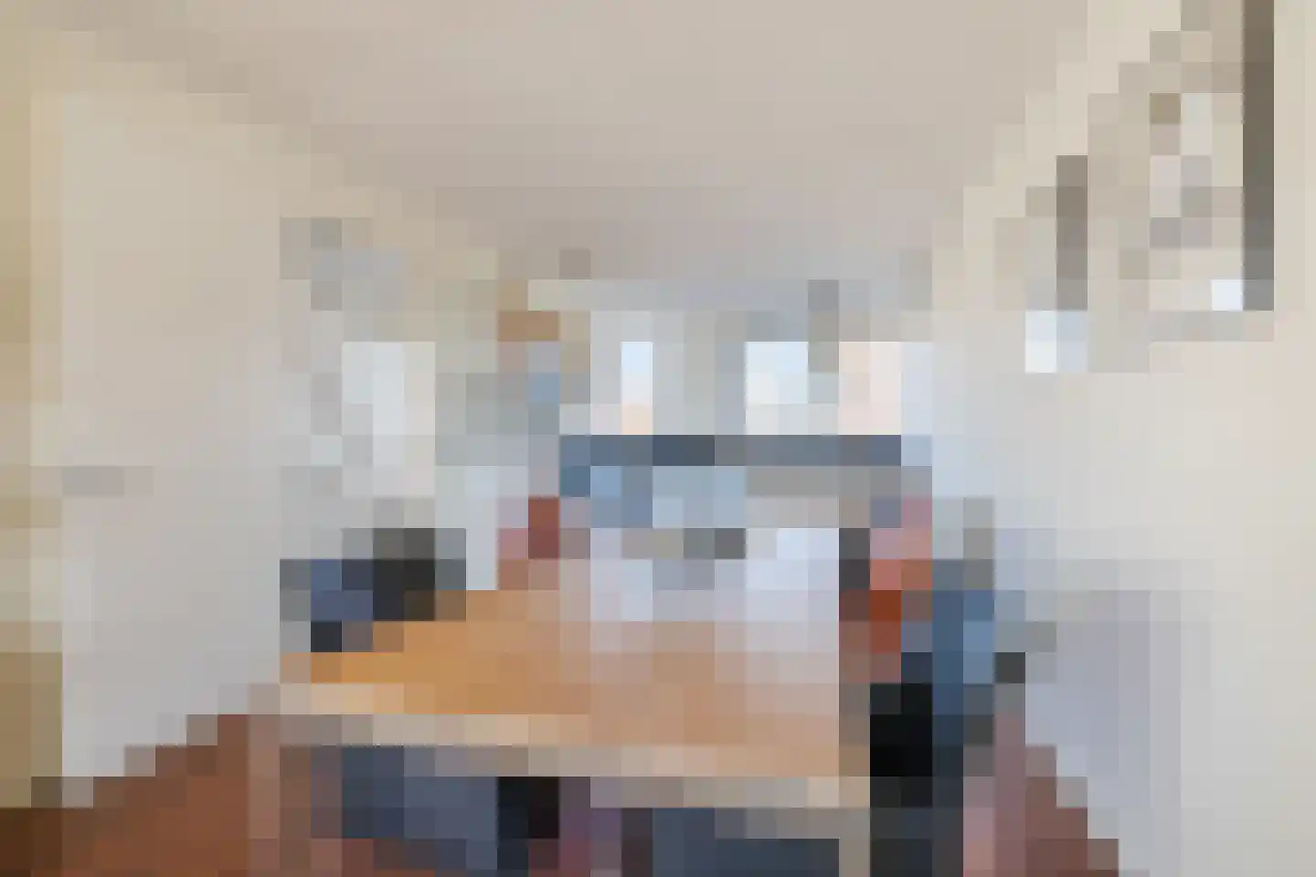Van Anhalt Dessaustraat 10 Sneek thumbnail 22