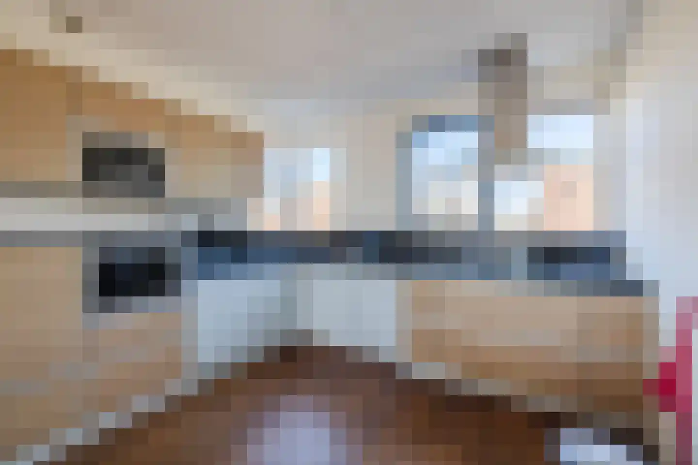 Van Anhalt Dessaustraat 10 Sneek thumbnail 26