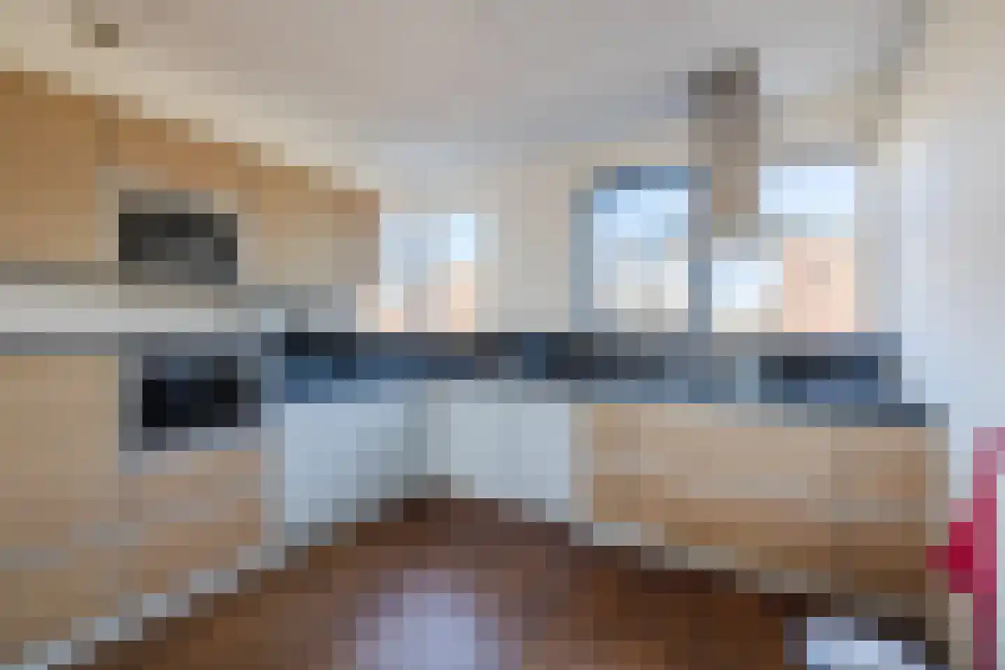 Van Anhalt Dessaustraat 10 Sneek thumbnail 28