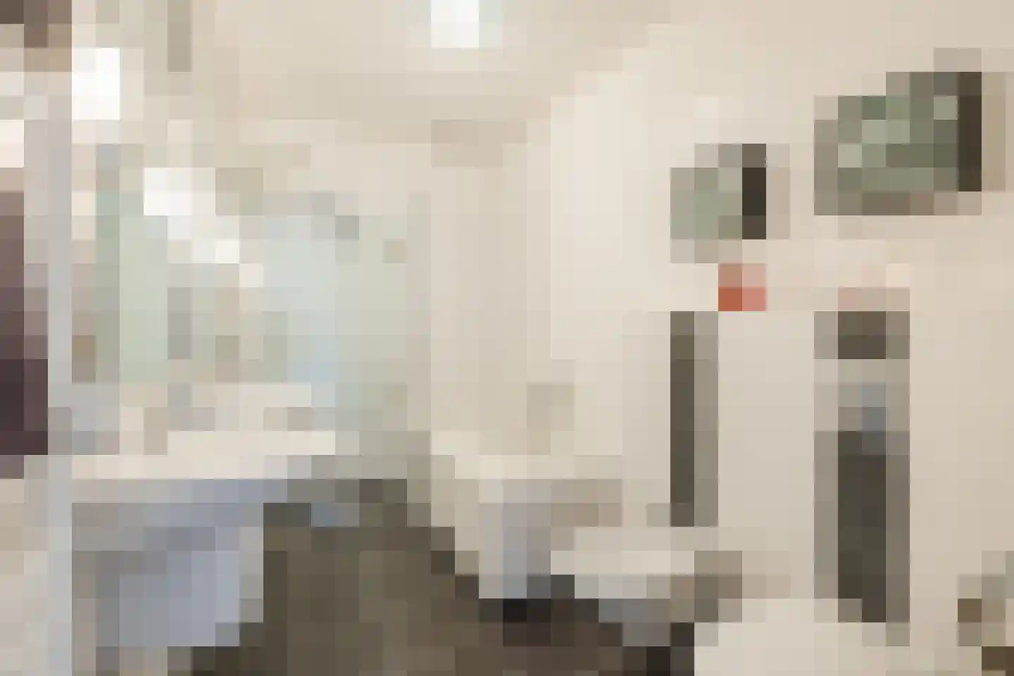 Van Anhalt Dessaustraat 10 Sneek thumbnail 46