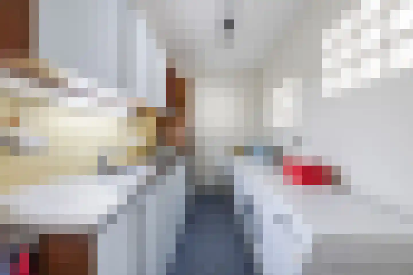 Van Anhalt Dessaustraat 10 Sneek thumbnail 8