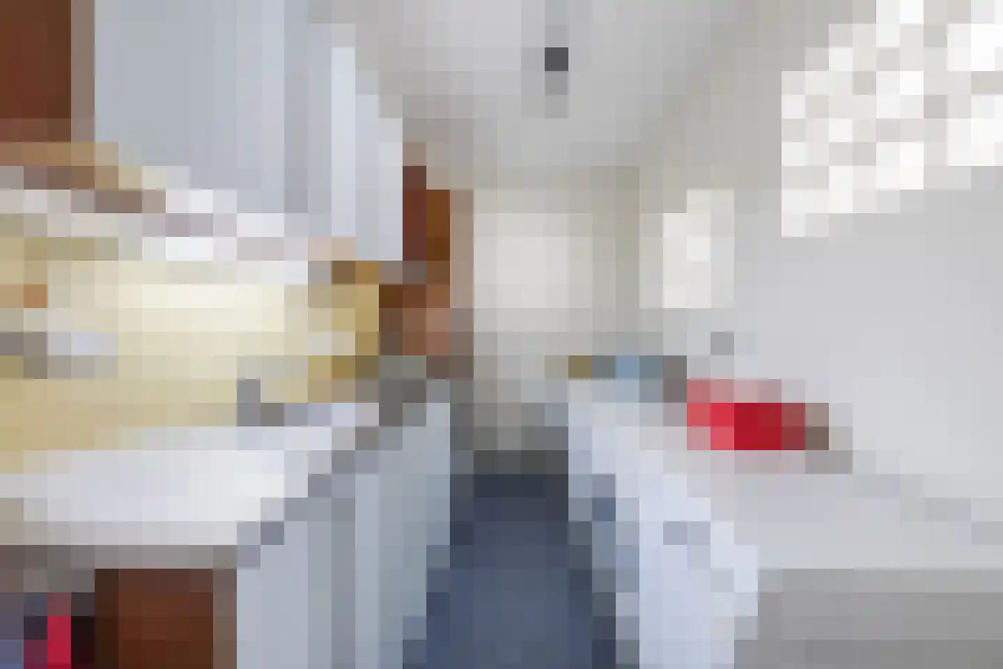 Van Anhalt Dessaustraat 10 Sneek thumbnail 9