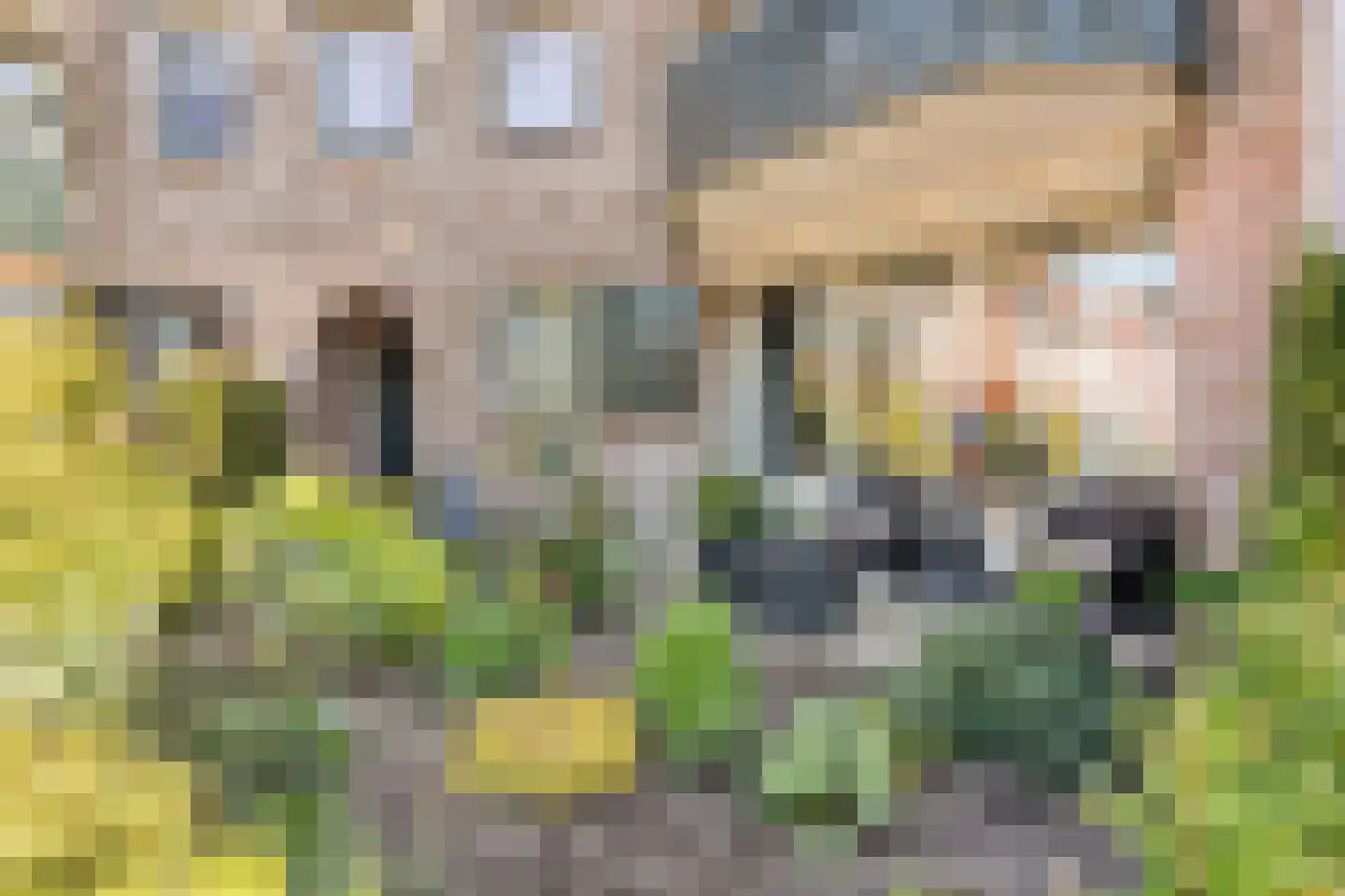 Van Ankumspad 10 Dalfsen thumbnail 22