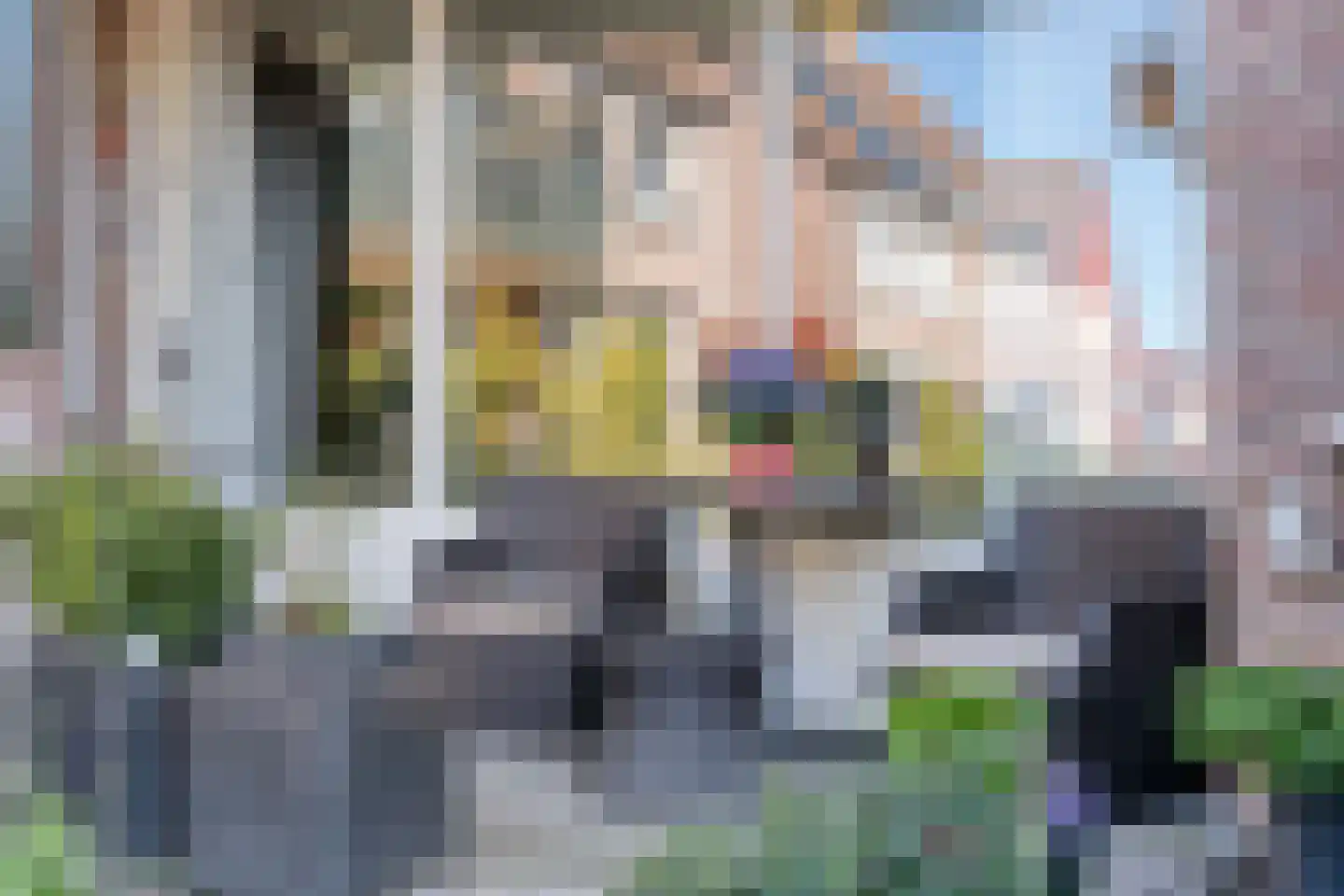 Van Ankumspad 10 Dalfsen thumbnail 23