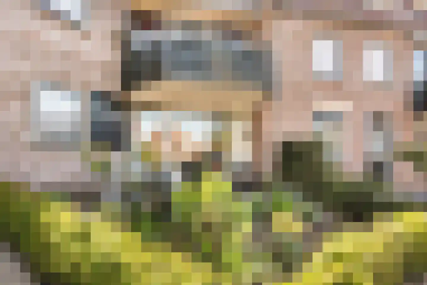 Van Ankumspad 10 Dalfsen thumbnail 25
