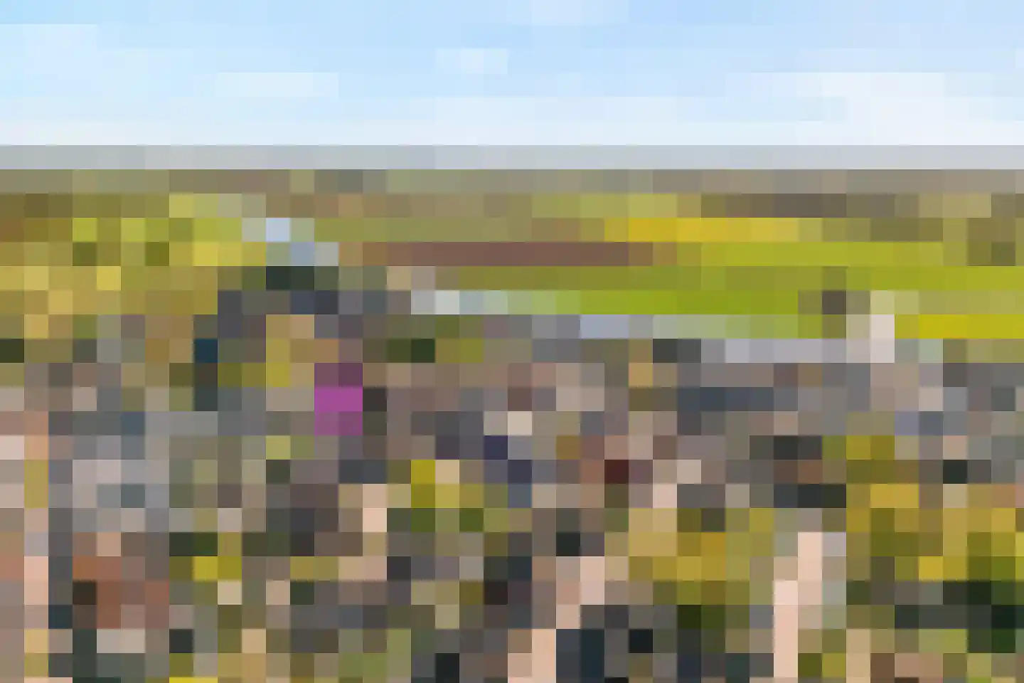 Van Ankumspad 10 Dalfsen thumbnail 35