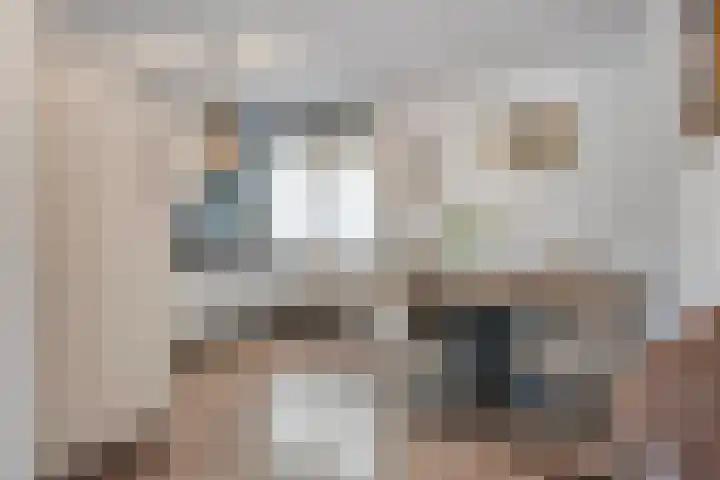 Van Ankumspad 6 Dalfsen thumbnail 10