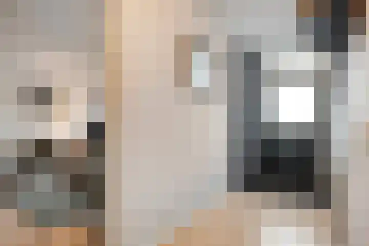 Van Ankumspad 6 Dalfsen thumbnail 13
