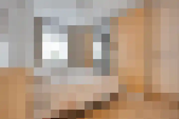Van Ankumspad 6 Dalfsen thumbnail 15