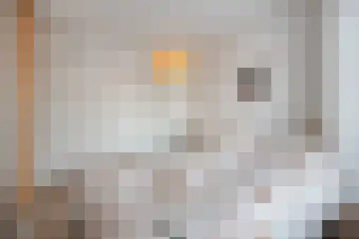 Van Ankumspad 6 Dalfsen thumbnail 16