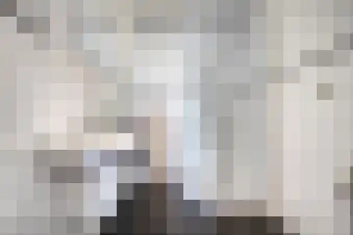 Van Ankumspad 6 Dalfsen thumbnail 17