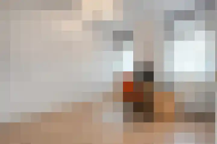 Van Ankumspad 6 Dalfsen thumbnail 20