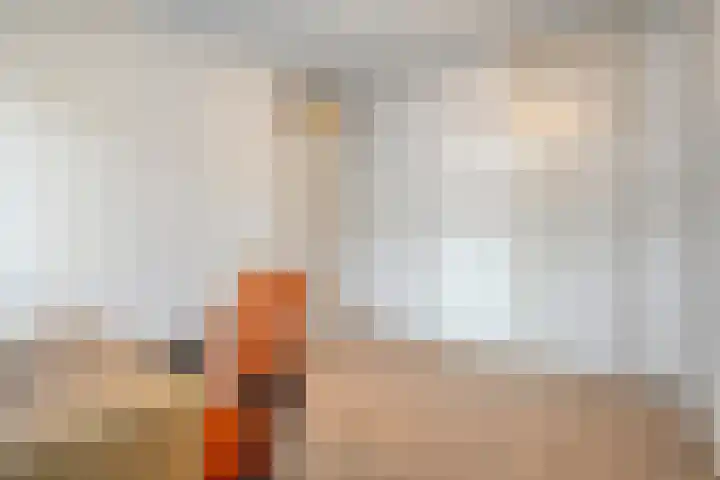 Van Ankumspad 6 Dalfsen thumbnail 21