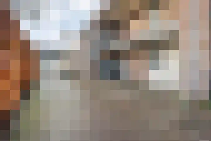 Van Ankumspad 6 Dalfsen thumbnail 22