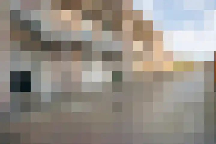 Van Ankumspad 6 Dalfsen thumbnail 23