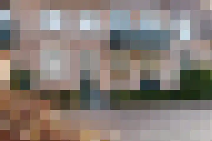 Van Ankumspad 6 Dalfsen thumbnail 30