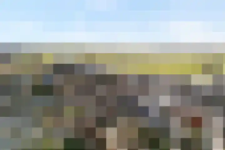 Van Ankumspad 6 Dalfsen thumbnail 32