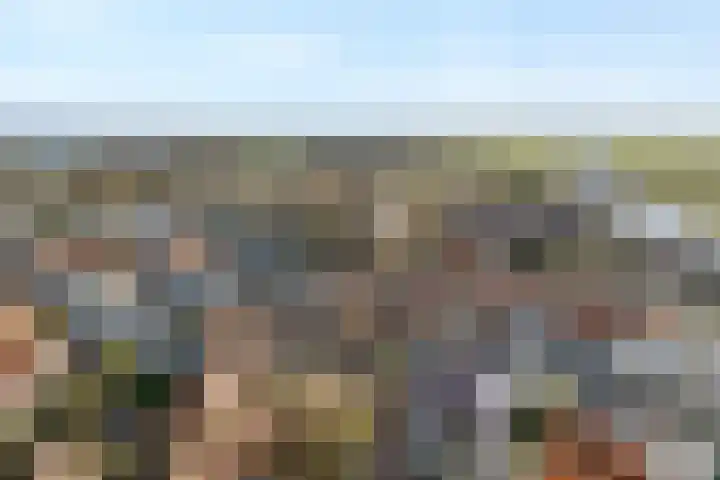 Van Ankumspad 6 Dalfsen thumbnail 33