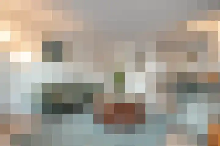 Van Ankumspad 6 Dalfsen thumbnail 4