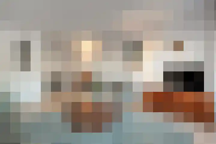 Van Ankumspad 6 Dalfsen thumbnail 6