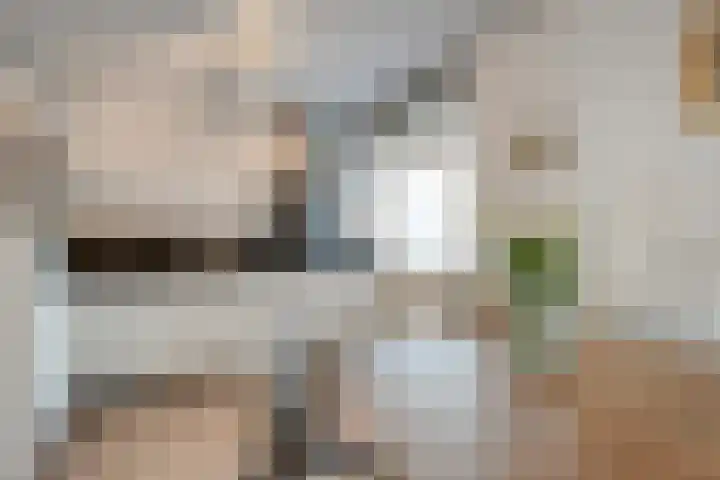 Van Ankumspad 6 Dalfsen thumbnail 9
