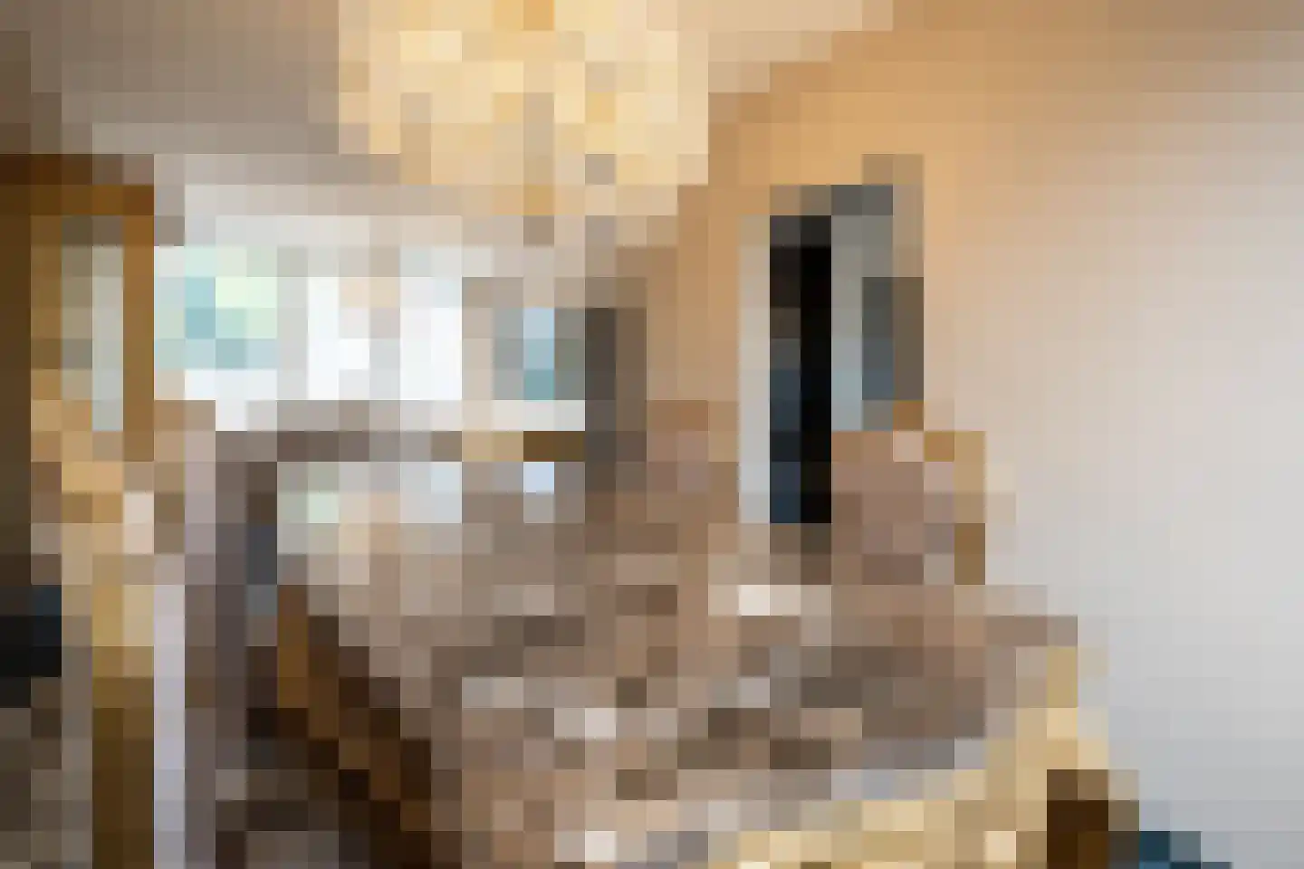 Van Anrooijstraat 114 Oss thumbnail 11