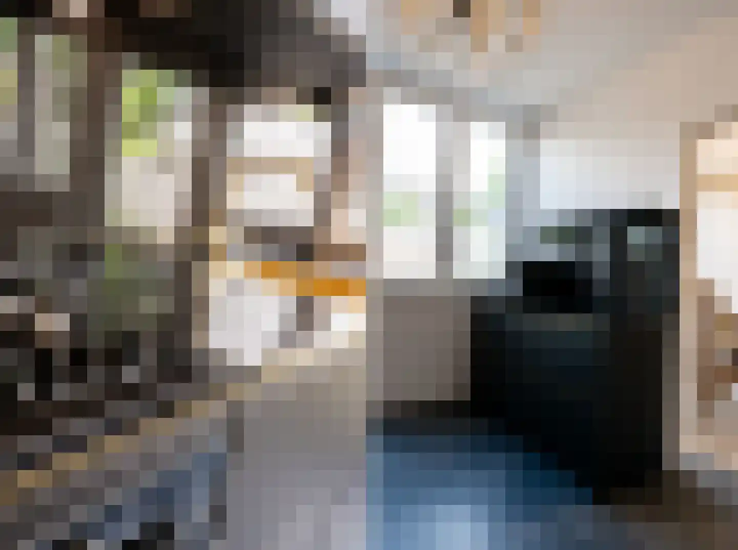 Van Anrooijstraat 114 Oss thumbnail 13