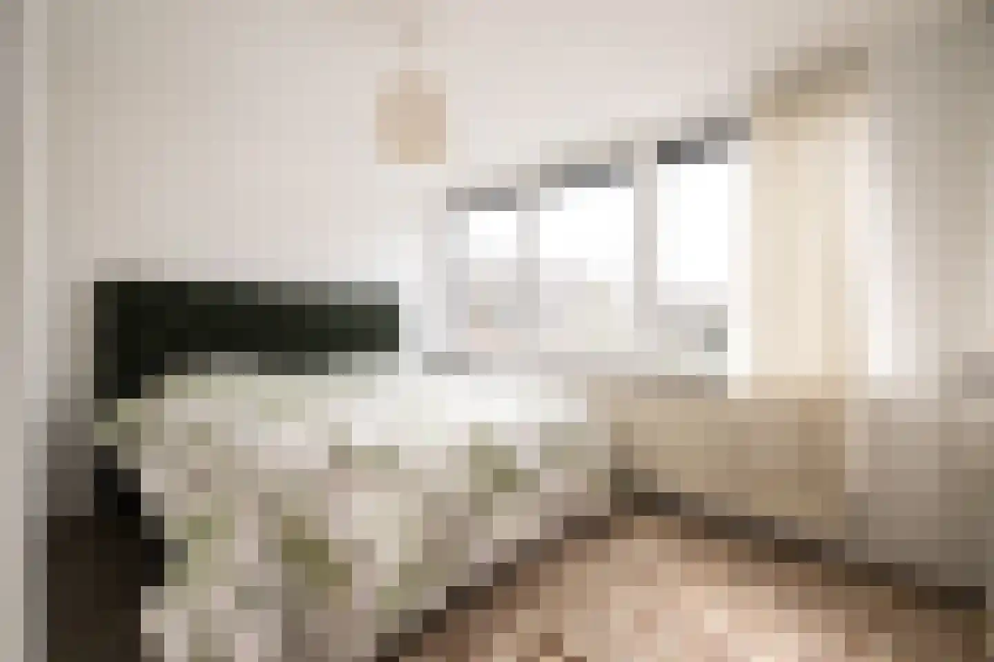 Van Anrooijstraat 114 Oss thumbnail 15