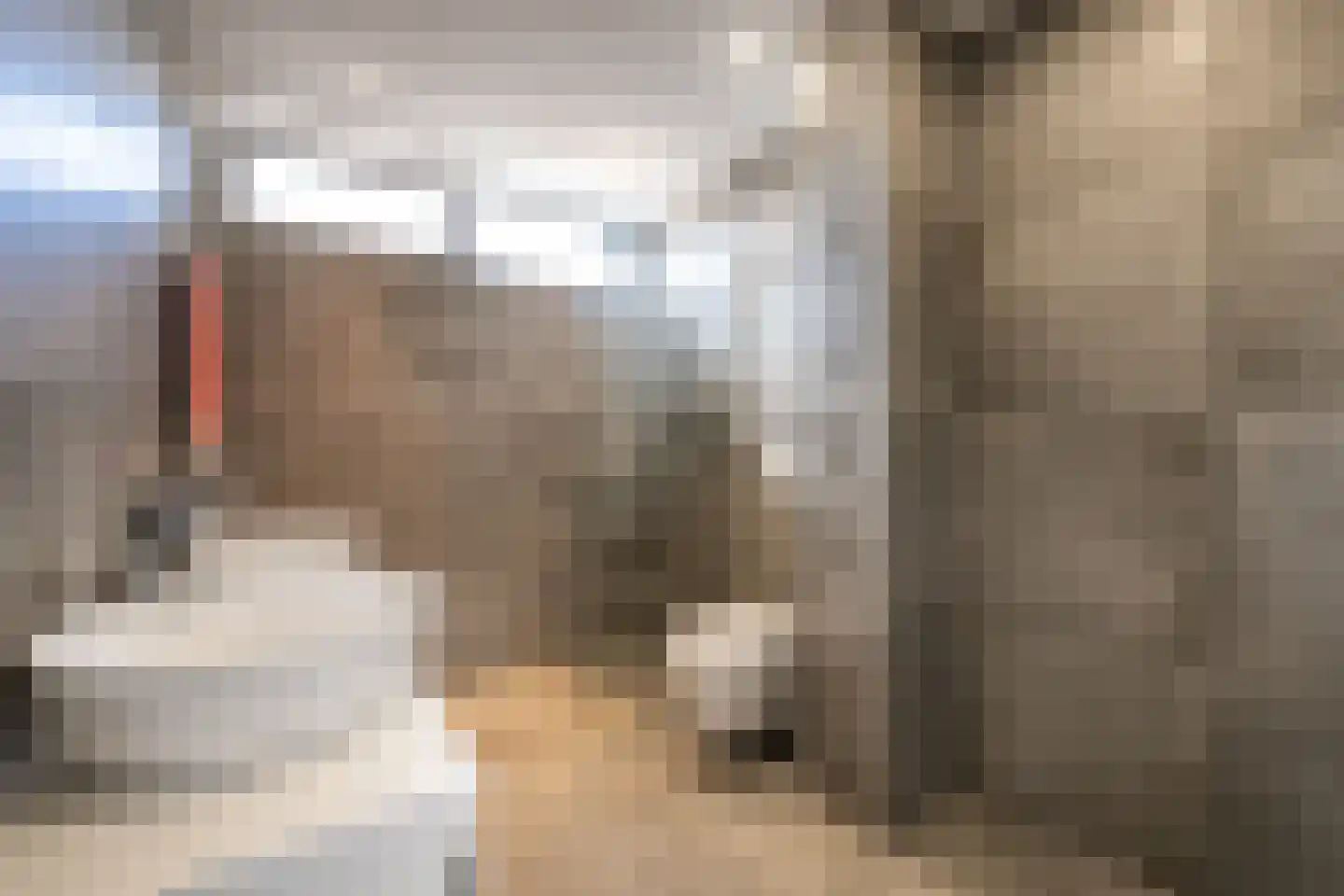 Van Anrooijstraat 114 Oss thumbnail 18