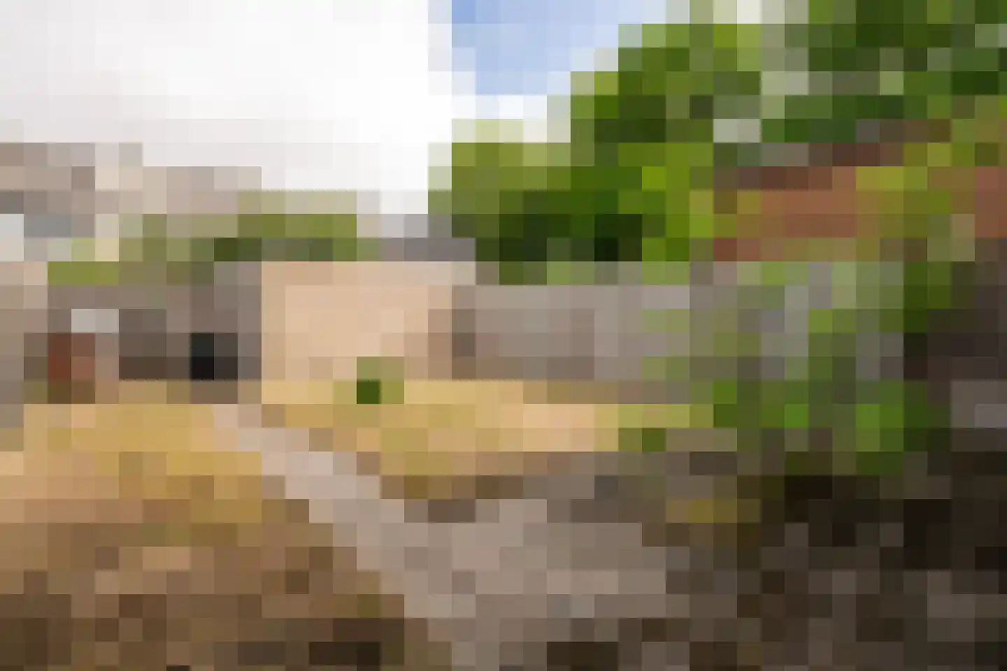 Van Anrooijstraat 114 Oss thumbnail 22