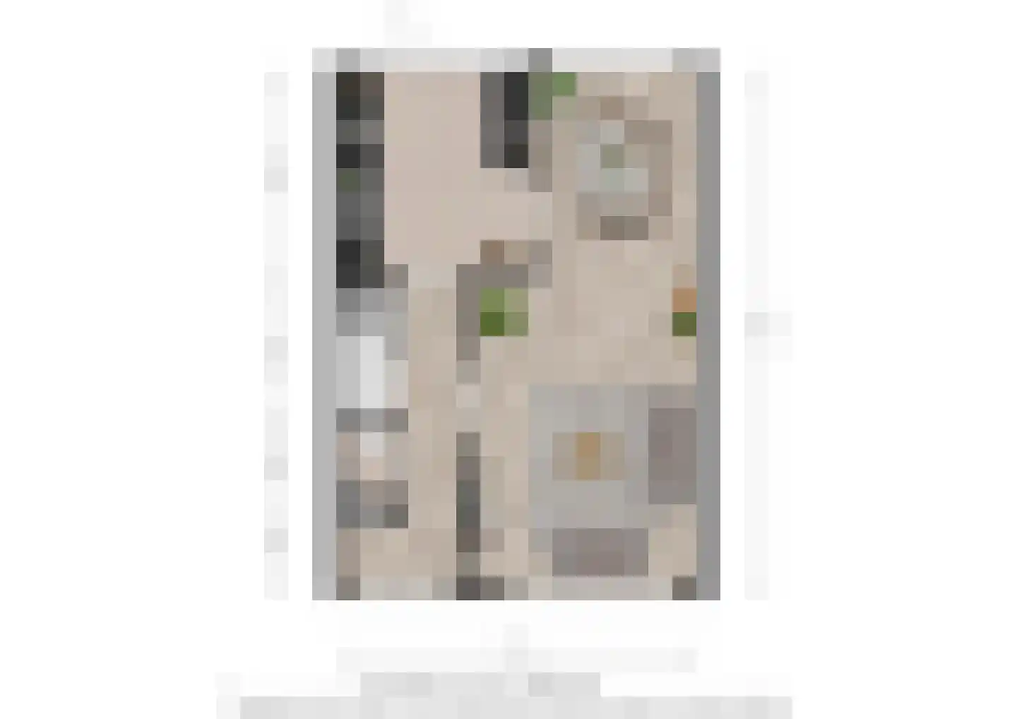Van Anrooijstraat 114 Oss thumbnail 24