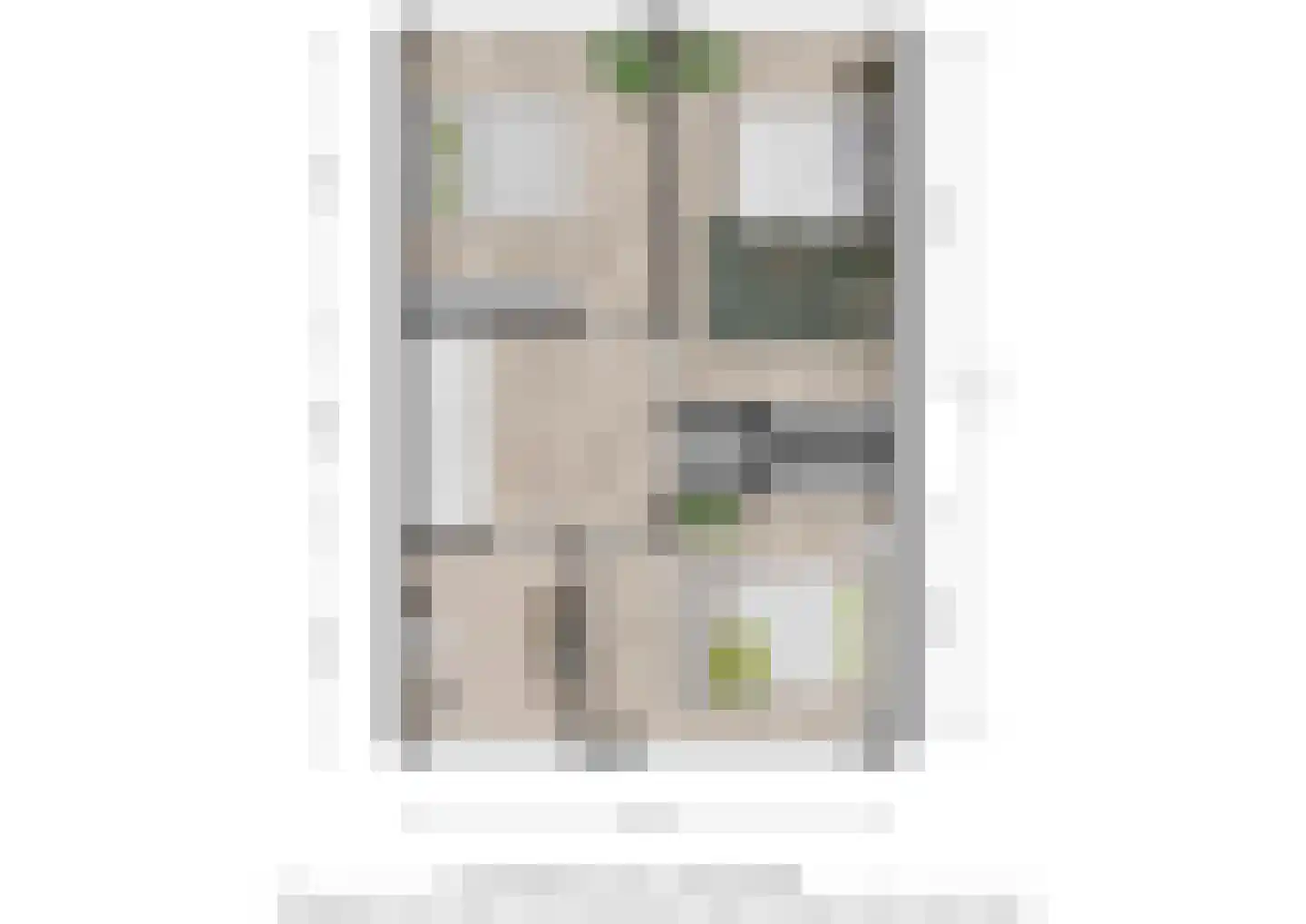 Van Anrooijstraat 114 Oss thumbnail 25