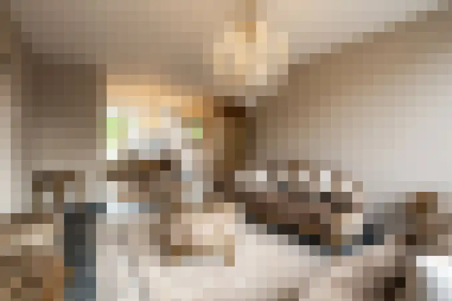Van Anrooijstraat 114 Oss thumbnail 8