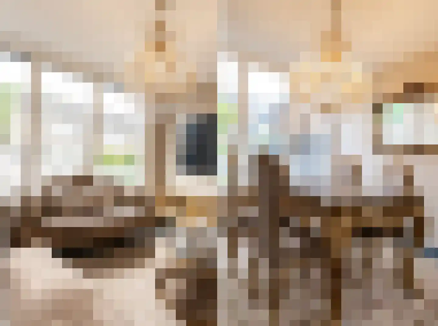 Van Anrooijstraat 114 Oss thumbnail 9
