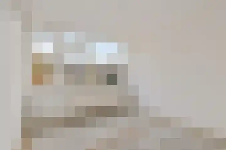 Van Anrooijstraat 120 Oss thumbnail 12