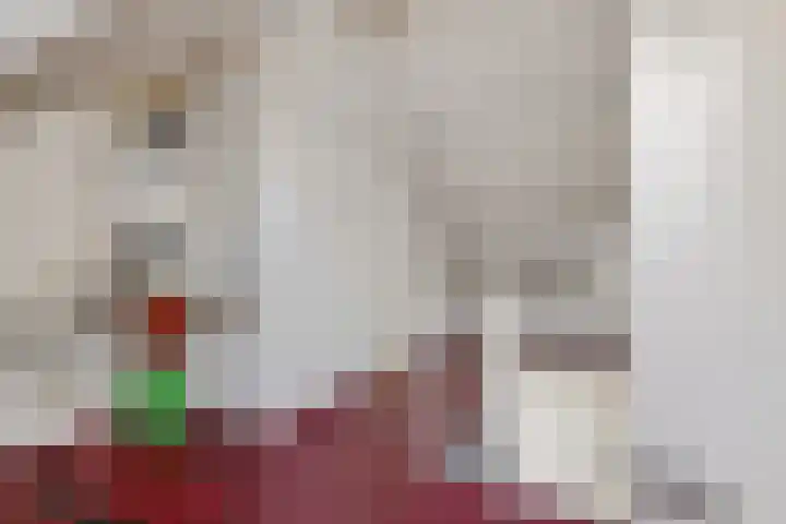 Van Anrooijstraat 120 Oss thumbnail 18