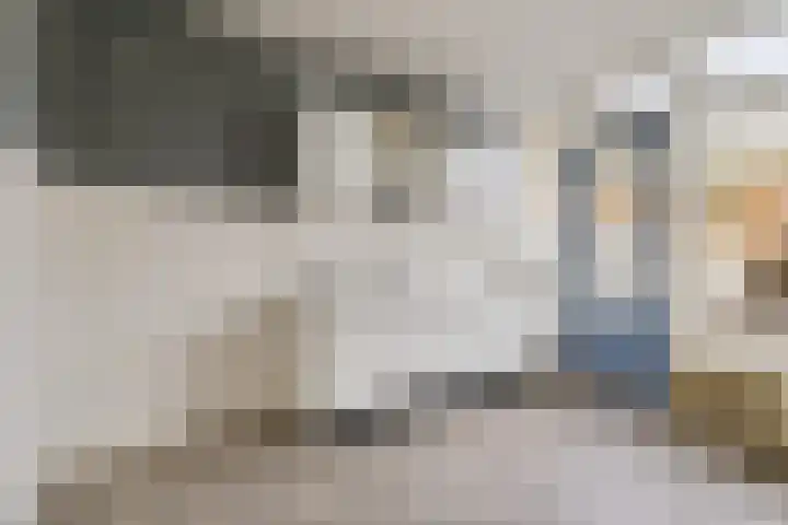 Van Anrooijstraat 120 Oss thumbnail 5