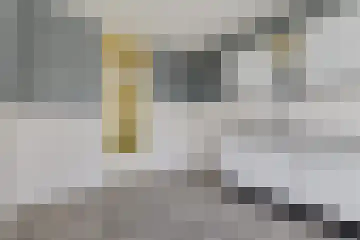 Van Anrooijstraat 120 Oss thumbnail 7