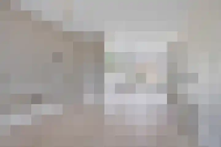 Van Anrooijstraat 172 Oss thumbnail 10